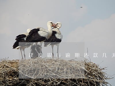 建设银行逾期还款几天会上征信吗