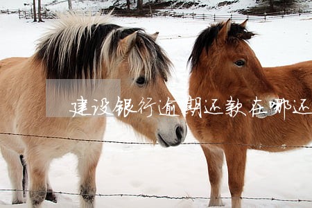 建设银行逾期还款在哪还 建设银行逾期还款在哪还