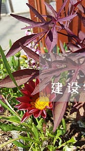 建设银行逾期还款期限中国 建设银行逾期还款期限中国