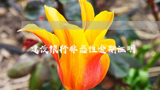 建设银行非恶性逾期证明
