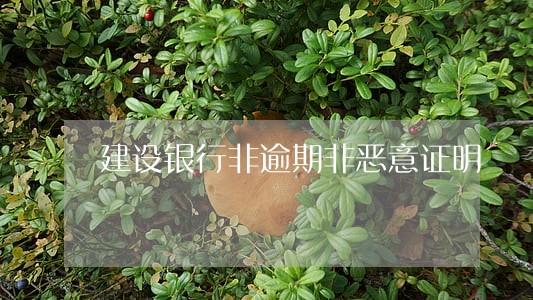 建设银行非逾期非恶意证明 建设银行非逾期非恶意证明