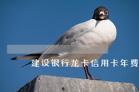 建设银行龙卡信用卡年费逾期 建设银行龙卡信用卡年费逾期