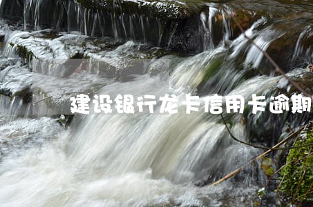 建设银行龙卡信用卡逾期30天