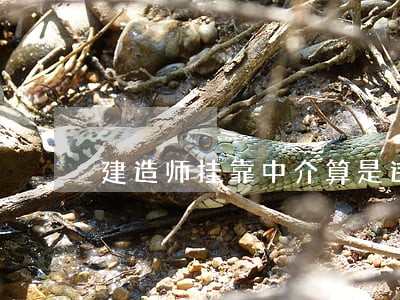 建造师挂靠中介算是违法吗