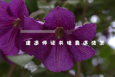 建造师证书挂靠违法怎么处理 建造师证书挂靠违法怎么处理