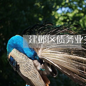 建邺区债务业务律师免费咨询