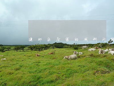 建邺区厉害的减刑问题咨询律师