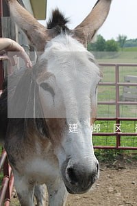 建邺区咨询合同纠纷大概费用 建邺区咨询合同纠纷大概费用