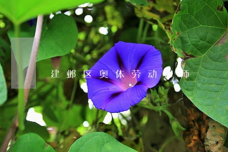 建邺区奥体劳动律师