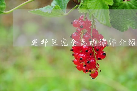 建邺区完全离婚律师介绍 建邺区完全离婚律师介绍