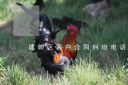 建邺区客户合同纠纷电话多少 建邺区客户合同纠纷电话多少