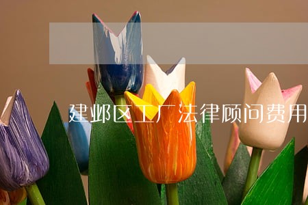 建邺区工厂法律顾问费用 建邺区工厂法律顾问费用