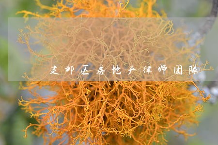 建邺区房地产律师团队 建邺区房地产律师团队