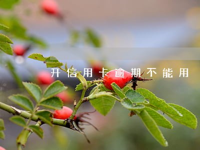 开信用卡逾期不能用 开信用卡逾期不能用