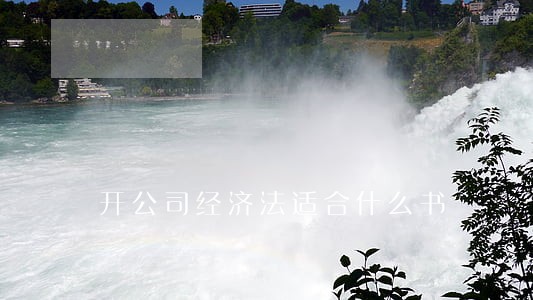 开公司经济法适合什么书 开公司经济法适合什么书