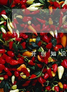 开创知识产权司法保护事业新局面 开创知识产权司法保护事业新局面
