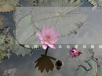开创质量法治建设新境界 开创质量法治建设新境界