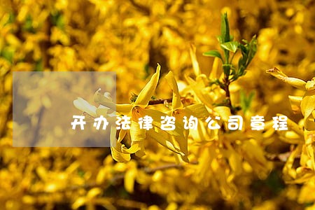 开办法律咨询公司章程 开办法律咨询公司章程