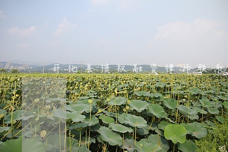 开化县债权融资律师联系方式 开化县债权融资律师联系方式
