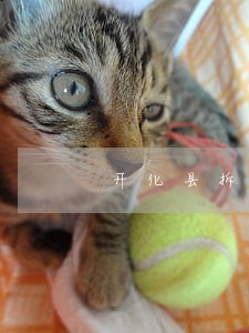 开化县拆迁安置在线律师咨询 开化县拆迁安置在线律师咨询