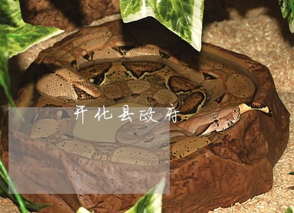 开化县政府 开化县政府