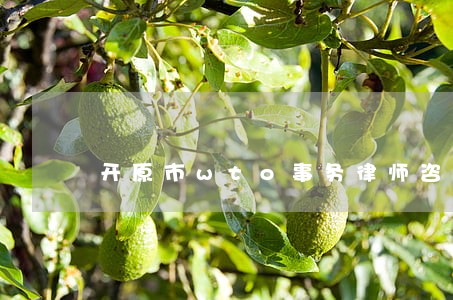 开原市wto事务律师咨询电话 开原市wto事务律师咨询电话