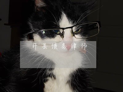 开县债务律师 开县债务律师