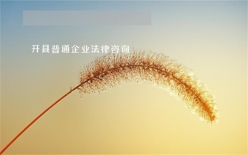 开县普通企业法律咨询 开县普通企业法律咨询