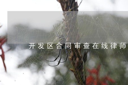 开发区合同审查在线律师咨询 开发区合同审查在线律师咨询