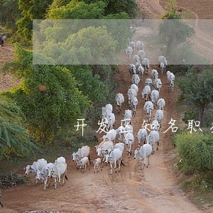 开发区知名职务犯罪律师咨询电话 开发区知名职务犯罪律师咨询电话