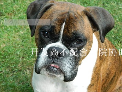 开发商不配合法院协助执行