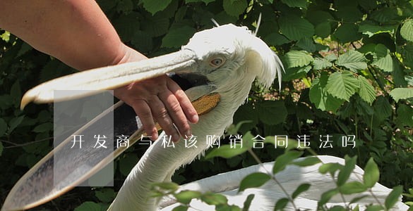 开发商与私该购销合同违法吗 开发商与私该购销合同违法吗