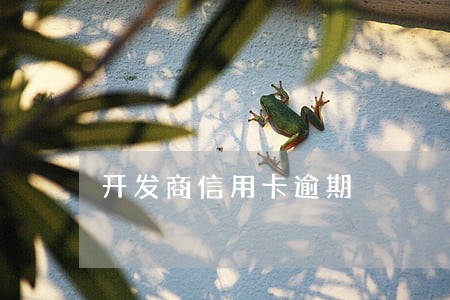 开发商信用卡逾期 开发商信用卡逾期