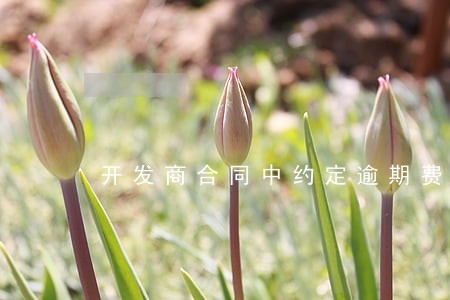开发商合同中约定逾期费20一天 开发商合同中约定逾期费20一天