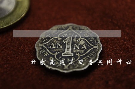 开发商延迟交房共同诉讼起诉状