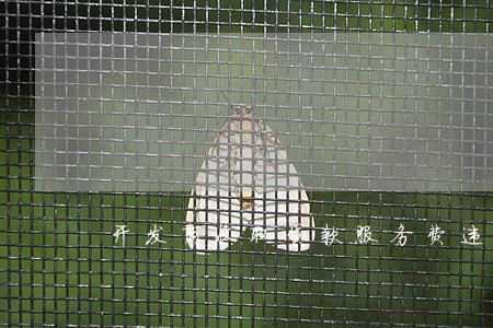 开发商收取贷款服务费违法吗 开发商收取贷款服务费违法吗