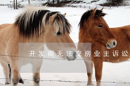 开发商无法交房业主诉讼 开发商无法交房业主诉讼