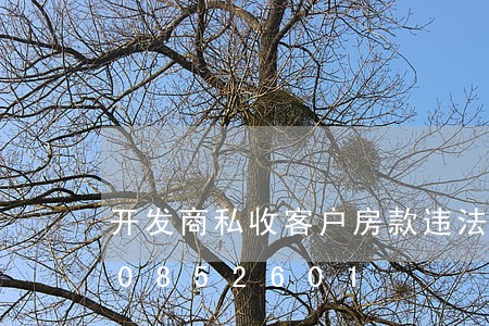 开发商私收客户房款违法吗/2023020852601 开发商私收客户房款违法吗/2023020852601