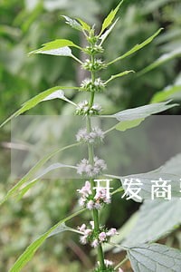 开发商要求撤销备案被法院驳回 开发商要求撤销备案被法院驳回