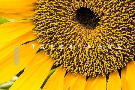 开发商逾期18个月怎么解决