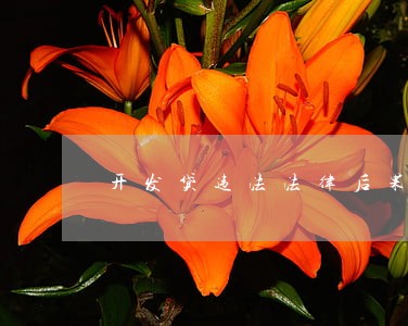 开发贷违法法律后果 开发贷违法法律后果