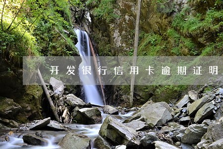 开发银行信用卡逾期证明 开发银行信用卡逾期证明