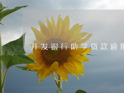 开发银行助学贷款逾期3个月 开发银行助学贷款逾期3个月