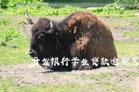 开发银行学生贷款逾期怎么还 开发银行学生贷款逾期怎么还
