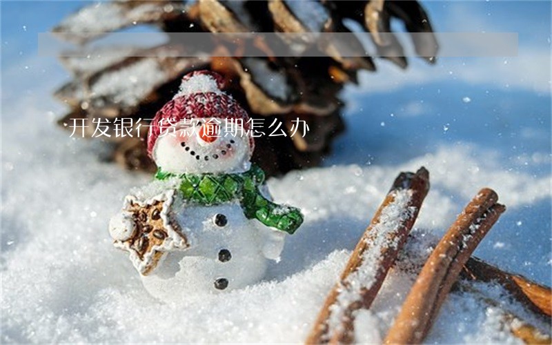 开发银行贷款逾期怎么办 开发银行贷款逾期怎么办