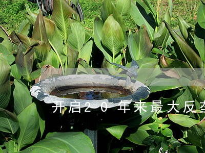 开启20年来最大反垄断诉讼 开启20年来最大反垄断诉讼