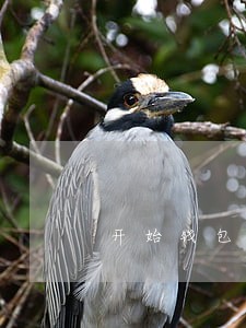 开始钱包逾期200多天 开始钱包逾期200多天