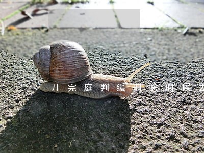 开完庭判缓刑啥时候去司法所 开完庭判缓刑啥时候去司法所