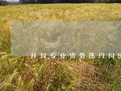 开封专业债务违约纠纷律师 开封专业债务违约纠纷律师
