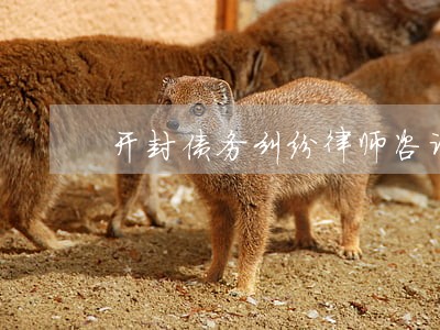 开封债务纠纷律师咨询 开封债务纠纷律师咨询